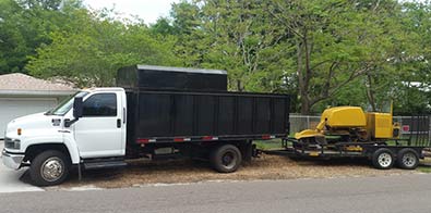 Tree Service Jacksonville